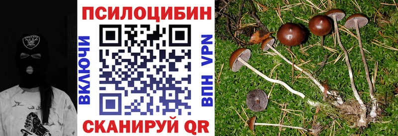 Псилоцибиновые грибы Magic Shrooms  Купить где  Лодейное Поле 